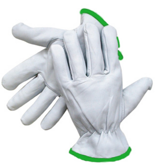 Radnor, Medium, Natural, Goatskin Unlined Drivers Gloves